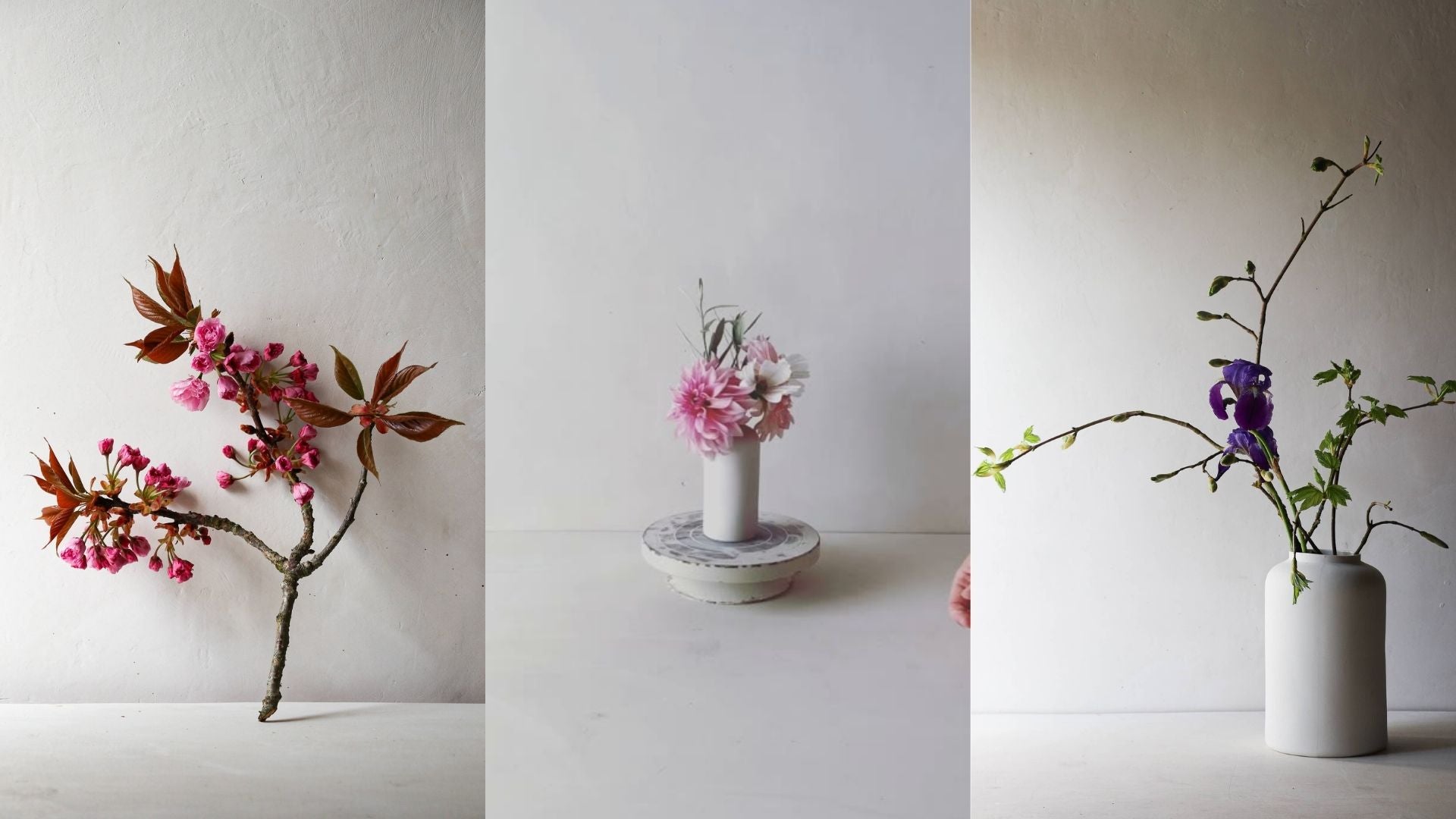 Charger la vidéo : 